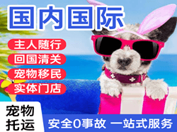 桃仙机场物流国际宠物托运 【国